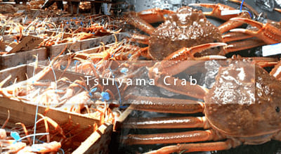 Tsuiyama Crab